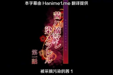 被采摘污染的茜1