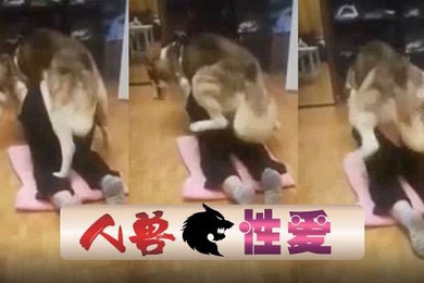 国产人兽狗狗后入抽插爽的有插了几次