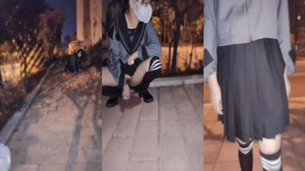 清纯双马尾少女的反差行为，戴上小狗尾巴户外爬行 水晶棒紫薇小穴喷水