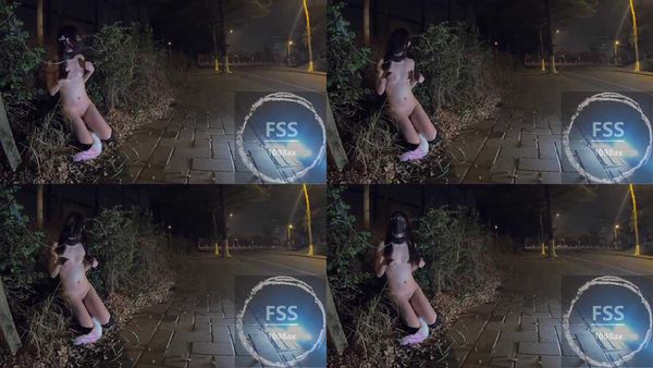 推特網紅 FSS 馮珊珊 戶外露出福利 20.母犬被路人撿走