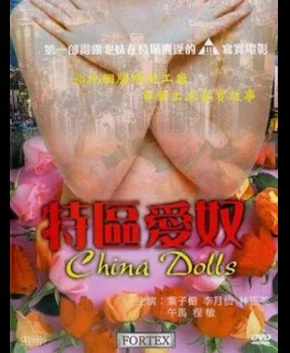 香港三级片特区爱奴 叶子楣