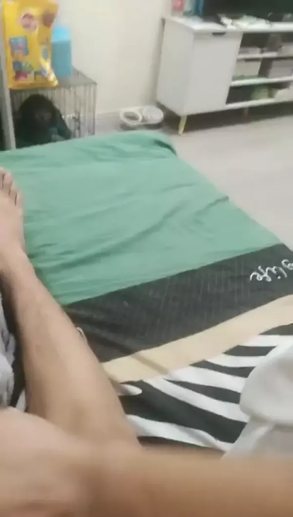 苏足模小妲己 居家小夫妻穿上白衬衣肉色丝袜 先口硬起来，再无套啪啪，最后射在肚子上