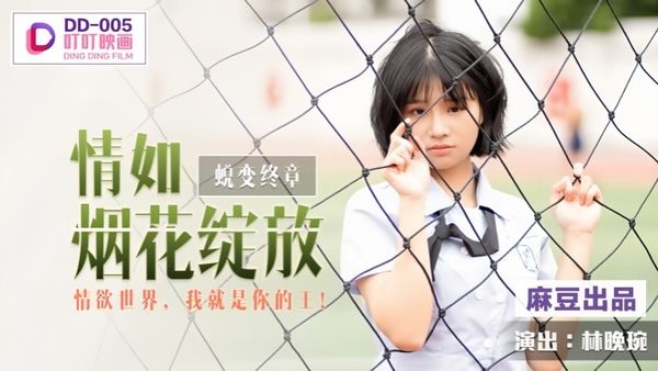 DD005 蜕变终章之情如烟花绽放 林晚琬