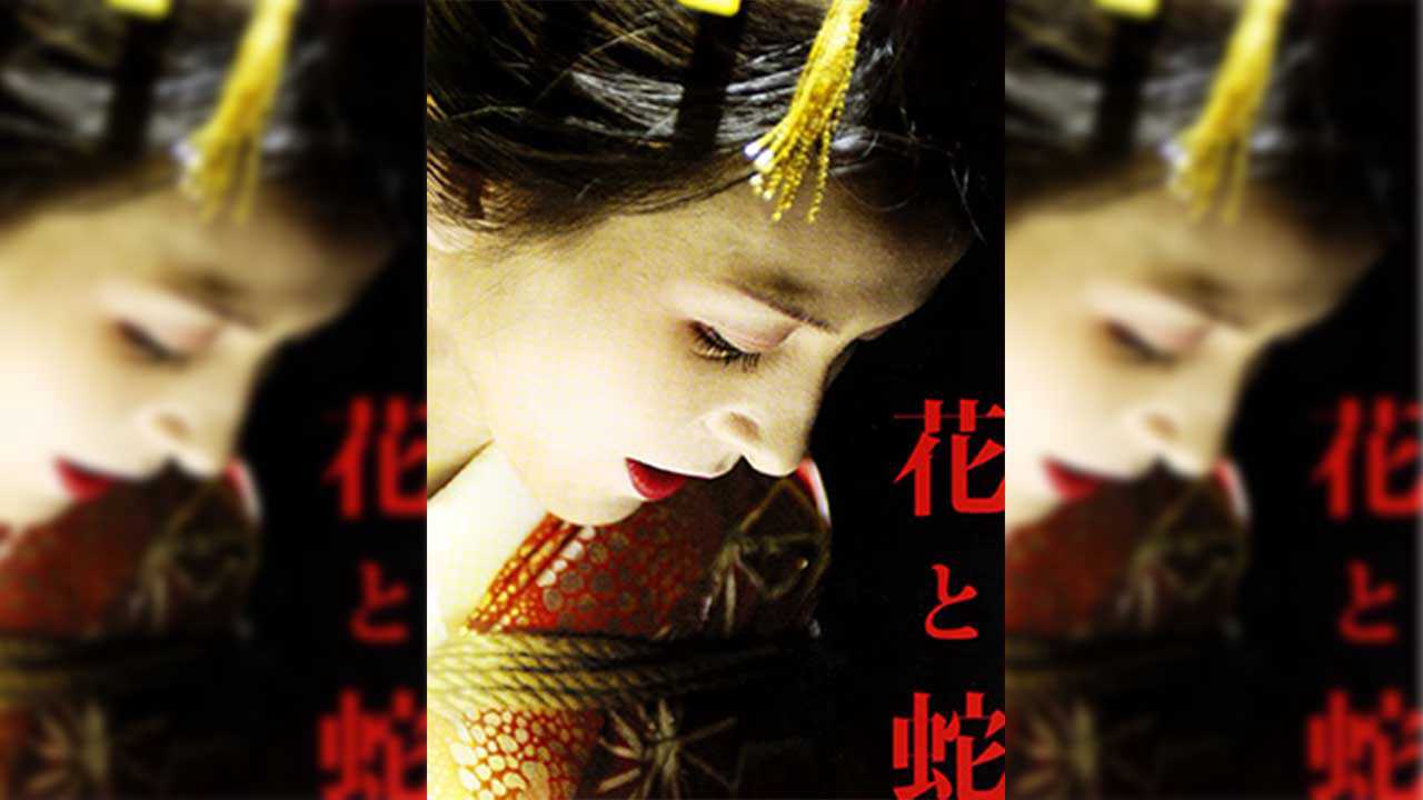 【日本三级】花与蛇 日语中字