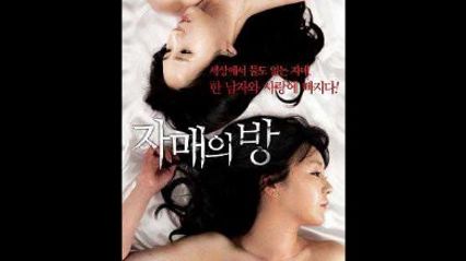 韩国经典三级 姐妹情室 韩语中字