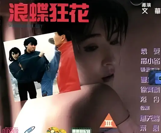 浪蝶狂花 国语中字 邢小路 叶晨