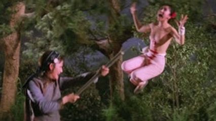 血芙蓉 国语无字幕 邵音音 陈萍