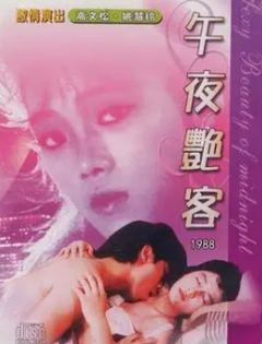 午夜艳客1988 国语无字幕 姚慧玲 丽英