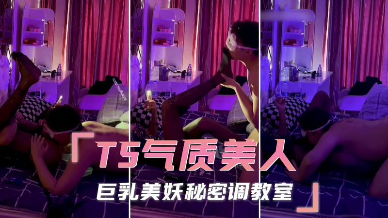 TS气质美人 极品巨乳美妖的秘密调教室，调教性奴公狗口交自己鸡巴