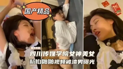 四川传媒学院女神 饥渴反差婊大学生 被当母狗后入狂操啪啪 不雅视频 呻吟叫喊模样被渣男曝光流出