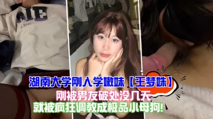 湖南大学校花美女 王梦姝 成年后被男友破处没几天就被调教成极品风骚小母狗 视频内风骚姿态惨遭泄密流出