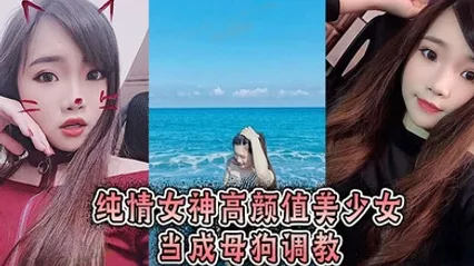 纯情女神高颜值美少女当成母狗调教 全集