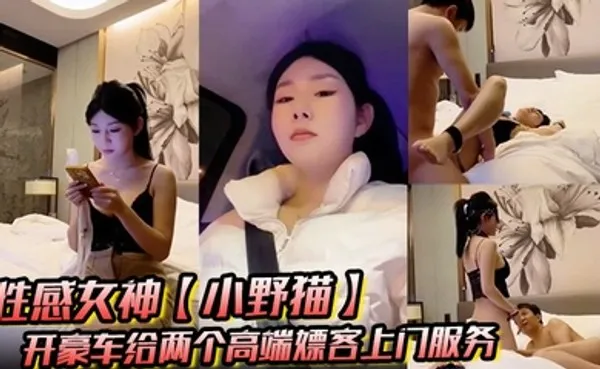 性感女神小野猫开豪车给两个高端嫖客上门服务猥琐大叔喜欢玩SM帅哥还算正常吹箫热身啪啪 全集