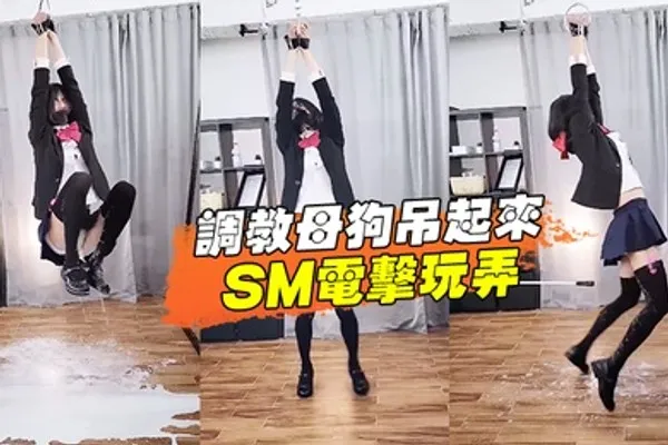 调教母狗吊起来SM电击玩弄 全集