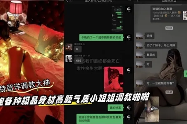 推特留洋调教大神订阅私拍约炮各种极品身材高颜气质小姐姐调教啪啪 全集