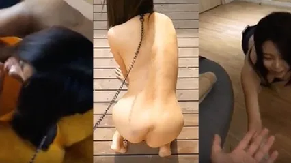 淫荡生活自拍年度精心整理之一汤不热火爆美女们淫荡生活自拍母狗性奴SM五花八门 全集