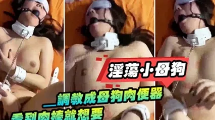 淫荡小母狗_调教成母狗肉便器看到肉棒就想要 全集