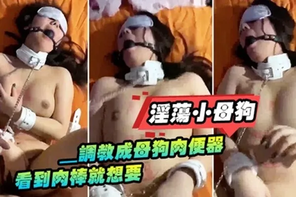 淫荡小母狗_调教成母狗肉便器看到肉棒就想要 全集
