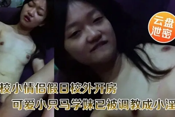 云盘泄密职校小情侣假日校外开房啪啪露脸自拍外流超骚可爱小只马学妹已被调教成小淫娃嗲叫好舒服 全集