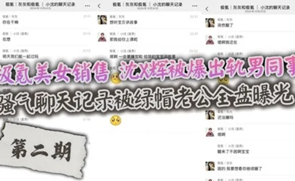 极氪美女销售 沈X辉被爆出轨男同事，骚气聊天记录被绿帽老公全盘曝光！ 全集