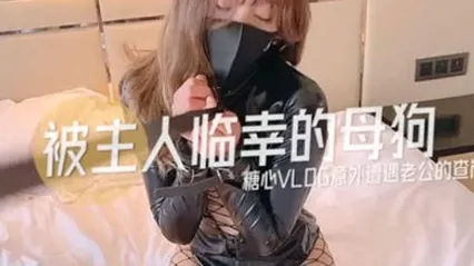 超人气美少女糖心up意外遭老公的查岗被主人幸临调教的小母狗 全集