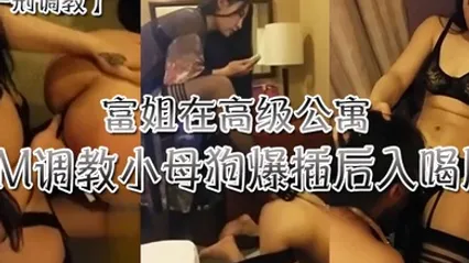 富姐在高级公寓SM调教小母狗爆插后入尿 全集