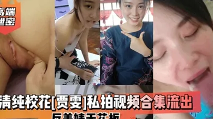 高端泄密清纯校花贾雯私拍视频合集流出反差婊天花板 全集