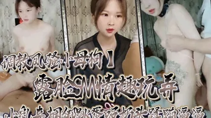 调教风骚小母狗露脸SM情趣玩弄小乳夹捆绑跳蛋吸奶头蹂躏逼逼口交大鸡巴 全集