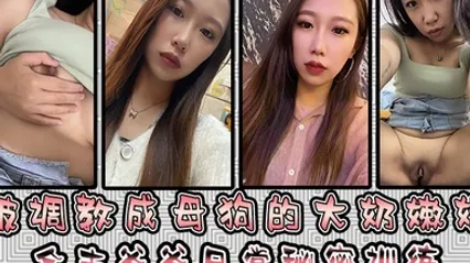 被调教成母狗的大奶嫩妹金主爸爸日常秘密训练扣逼玩穴乳夹道具各种小母狗行为展示淫荡自拍 全集