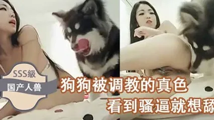 国产人兽狗狗被调教的真色看到骚逼就想舔 全集
