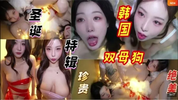解说 251225C 叮咚！您有一份来自韩国财阀的圣诞礼物！请查收！