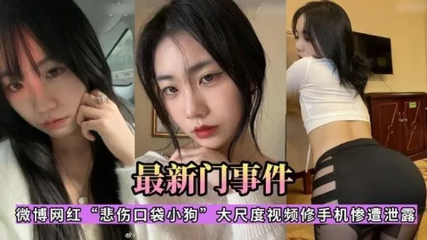 微博网红悲伤口袋小狗大尺度视频修手机惨遗泄露