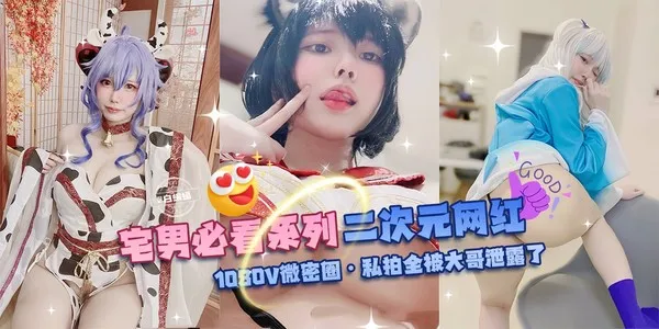 网曝黑料-宅男必看系列 二次元网红-1080V微密圈 私拍全被大哥泄露了-