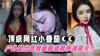 网红黑料-顶级稀缺颜值女神‘小番茄’沦为金主性奴 户外露出舔脚调教惨遭泄密-