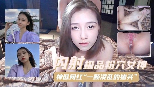 内射极品粉穴女神  神似网红一颗凌乱的猪头