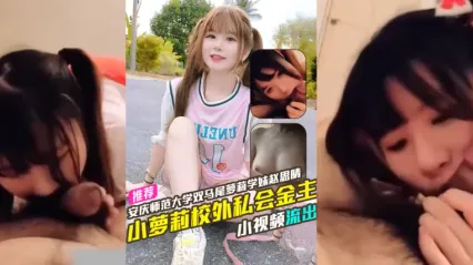 安慶師範大學雙馬尾成年蘿莉學妹 趙思晴 校外私會金主 激情口交深喉吞吐雞巴小視頻慘遭流出！ 封面