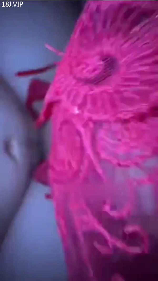 名媛姐妹花被操到腿软