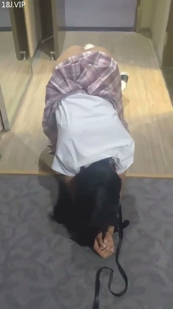 JK小母狗的养成