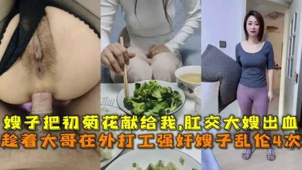 趁着大哥在外打工强奸嫂子乱伦4次，嫂子把初菊花献给我,肛交大嫂出血。-精品力荐 封面