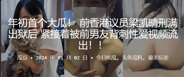 议员梁凯晴刑满出狱后紧接着被前男友背刺性爱视频流出 封面