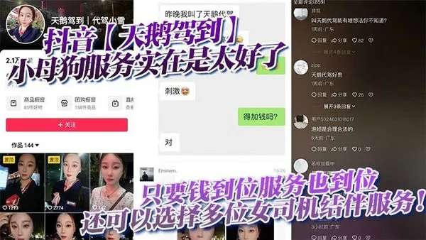 抖音天鹅驾到小母狗服务实在是太好了只要钱到位服务也到位还可以选择多位女司机结伴服务 封面